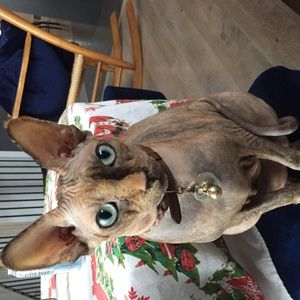 Meet your Posher, Melanie